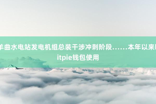 羊曲水电站发电机组总装干涉冲刺阶段……本年以来bitpie钱包使用