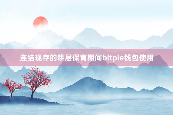 连结现存的耕层保育期间bitpie钱包使用