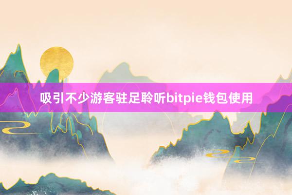 吸引不少游客驻足聆听bitpie钱包使用