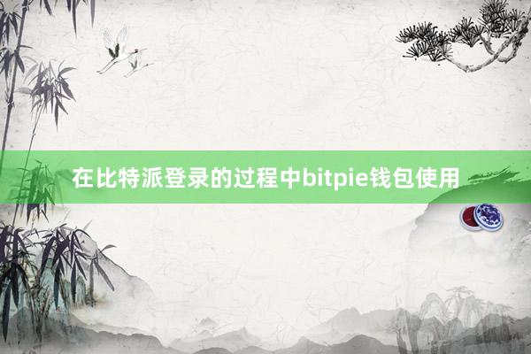 在比特派登录的过程中bitpie钱包使用