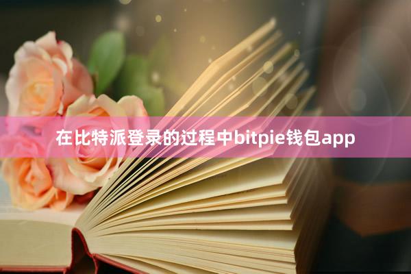 在比特派登录的过程中bitpie钱包app