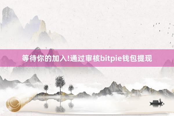 等待你的加入!通过审核bitpie钱包提现