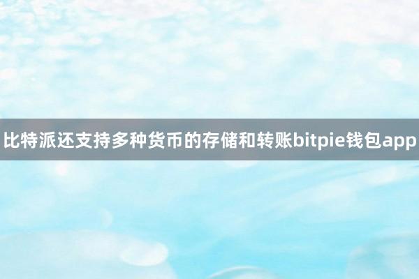 比特派还支持多种货币的存储和转账bitpie钱包app