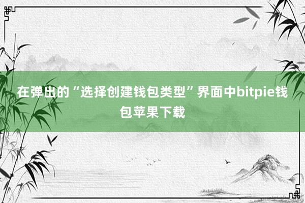 在弹出的“选择创建钱包类型”界面中bitpie钱包苹果下载