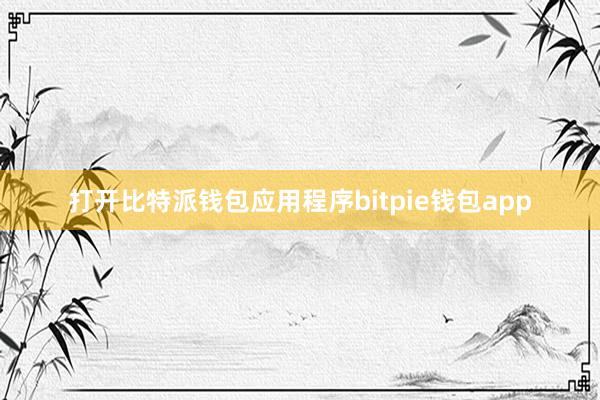 打开比特派钱包应用程序bitpie钱包app