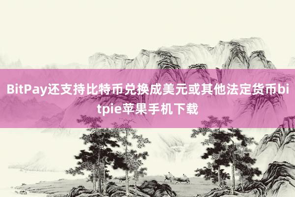 BitPay还支持比特币兑换成美元或其他法定货币bitpie苹果手机下载