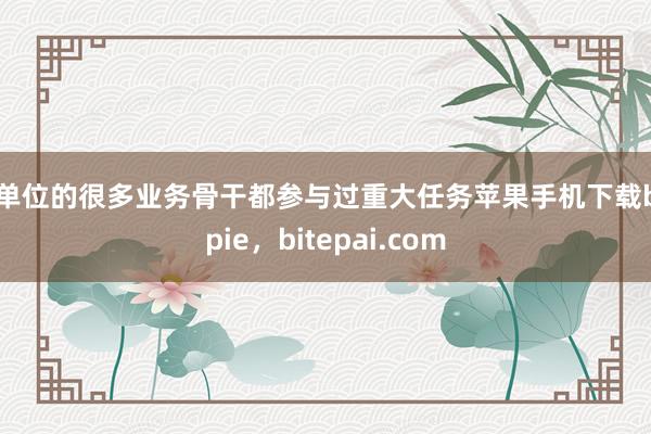 “单位的很多业务骨干都参与过重大任务苹果手机下载bitpie，bitepai.com