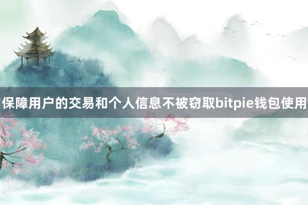 保障用户的交易和个人信息不被窃取bitpie钱包使用