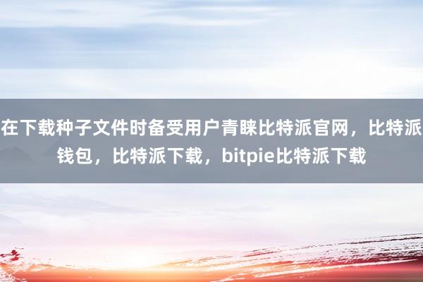 在下载种子文件时备受用户青睐比特派官网，比特派钱包，比特派下载，bitpie比特派下载