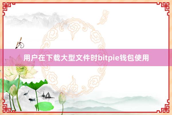 用户在下载大型文件时bitpie钱包使用