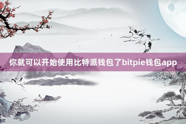 你就可以开始使用比特派钱包了bitpie钱包app