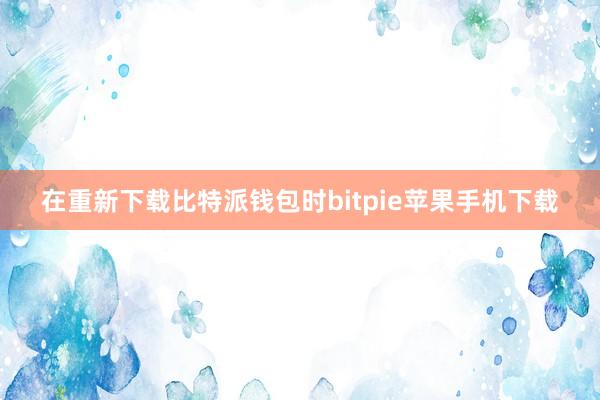 在重新下载比特派钱包时bitpie苹果手机下载