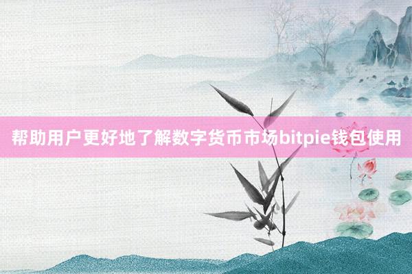 帮助用户更好地了解数字货币市场bitpie钱包使用