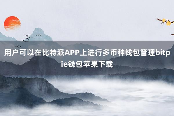 用户可以在比特派APP上进行多币种钱包管理bitpie钱包苹果下载