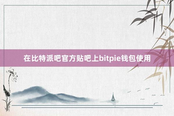 在比特派吧官方贴吧上bitpie钱包使用