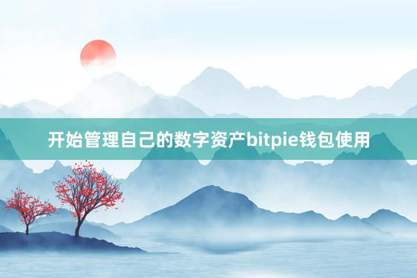 开始管理自己的数字资产bitpie钱包使用