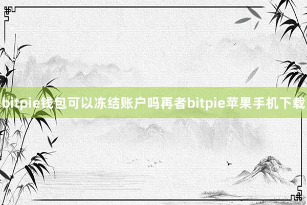 bitpie钱包可以冻结账户吗再者bitpie苹果手机下载