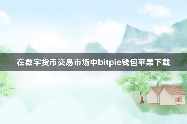 在数字货币交易市场中bitpie钱包苹果下载