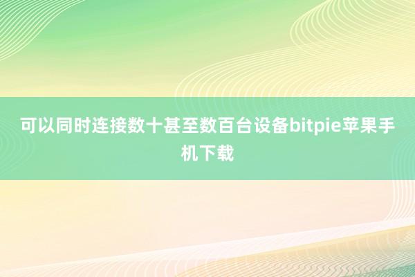 可以同时连接数十甚至数百台设备bitpie苹果手机下载