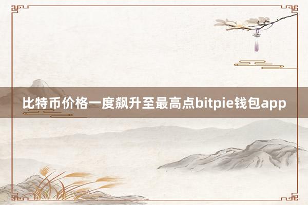 比特币价格一度飙升至最高点bitpie钱包app