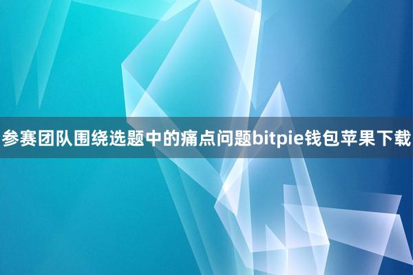 参赛团队围绕选题中的痛点问题bitpie钱包苹果下载