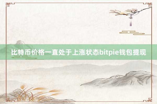 比特币价格一直处于上涨状态bitpie钱包提现