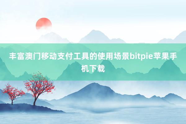 丰富澳门移动支付工具的使用场景bitpie苹果手机下载