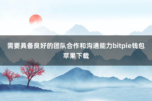 需要具备良好的团队合作和沟通能力bitpie钱包苹果下载