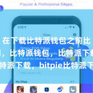 在下载比特派钱包之前比特派官网，比特派钱包，比特派下载，bitpie比特派下载