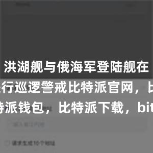 洪湖舰与俄海军登陆舰在周边海域进行巡逻警戒比特派官网，比特派钱包，比特派下载，bitpie比特派下载