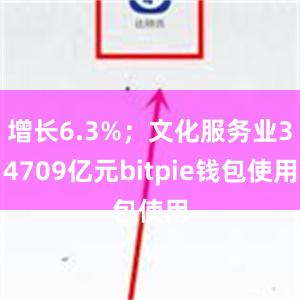 增长6.3%；文化服务业34709亿元bitpie钱包使用