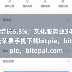 增长6.3%；文化服务业34709亿元苹果手机下载bitpie，bitepai.com